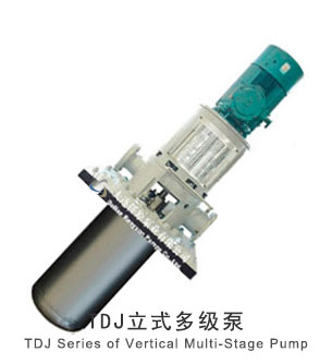  TDJ立式多級(jí)泵